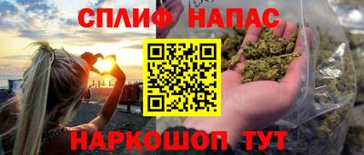 стафф Краснодар