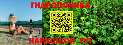 стафф Краснодар