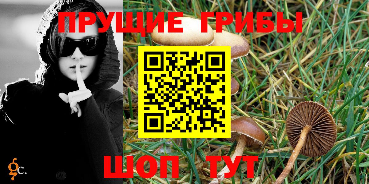 Галлюциногенные грибы MAGIC MUSHROOMS Звенигород