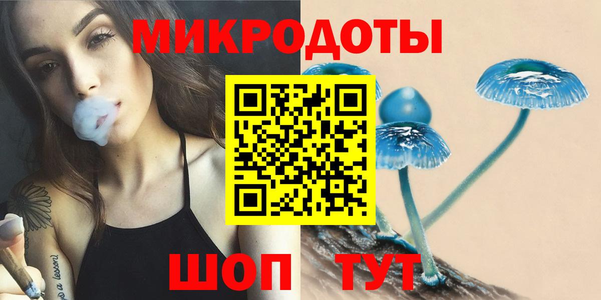 Звенигород  Галлюциногенные грибы Cubensis  Вход с VPN 
